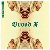 Images/amok wodwo brood x cover 2021